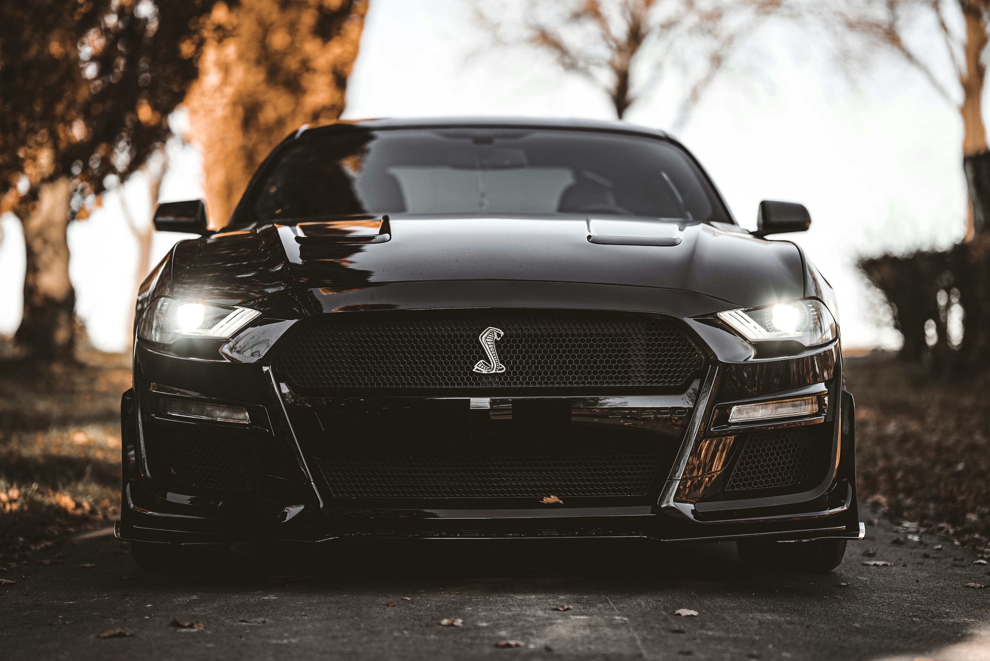 Number Plate 101: Why Are Some Plates Worth More Than a House?